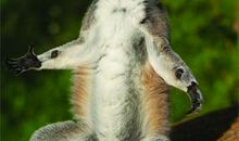 伸伸手，伸出信赖_700字