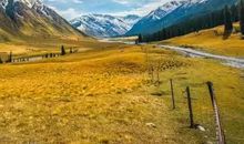 通往天堂的一滴泪_450字