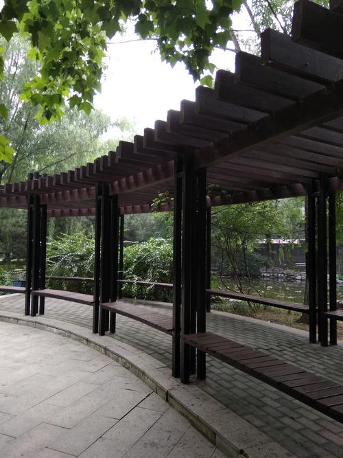 光阴 - 生命截面珍惜_450字