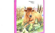 爱吹牛的奶奶_600字