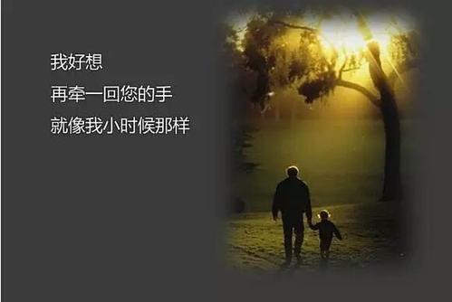 感恩节最明亮的星星_700字