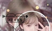 空中的星座_250字