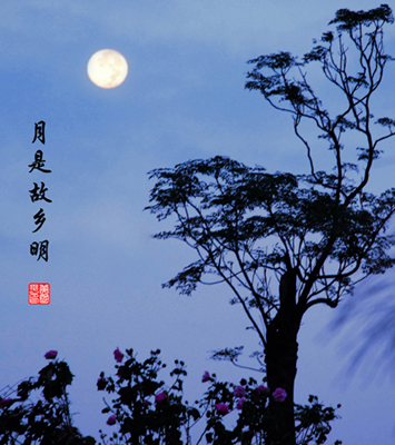 麦芽虫没有跟踪_900字