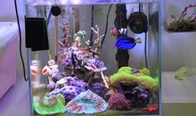 一个神奇的实验_450字