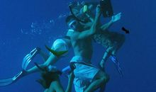 夏令营寻宝_550字