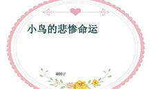 小鸟的悲惨命运_1500字
