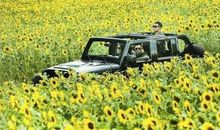 从“差一点”的梦中惊醒吧_1000字