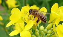 万物都有生命_1000字