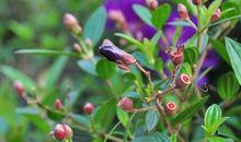 有一种开始叫离去_1000字