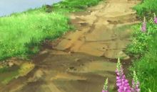 通往天堂的路_250字