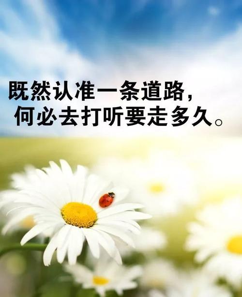 14岁，我有很多可达_700字
