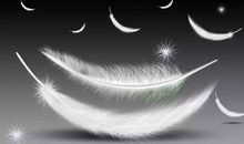 那些“烦恼”，不足挂齿_800字