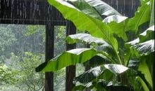 午夜·思绪_1000字