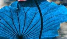 留在心底深处的风景_1000字