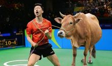 最后的球赛_200字