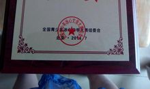 冰心文学大赛作品：我的环保购物袋