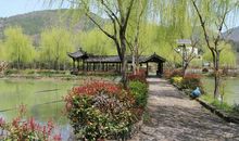 夜雨萧声[第四章]娘亲_1500字