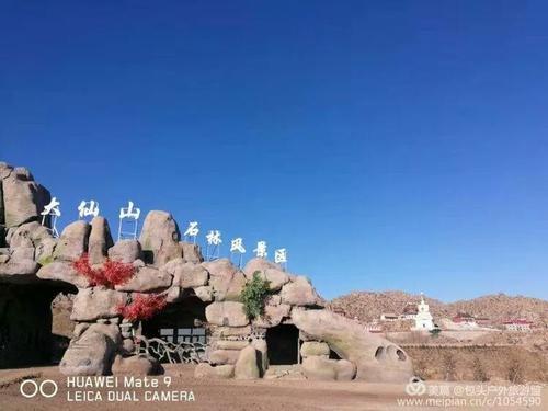 出鸡体验_550字