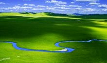 草原，草原_450字