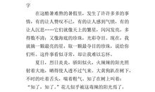 暑假里的一件事_550字