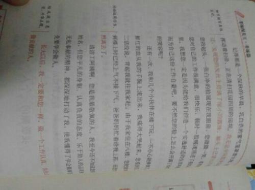 补充_350字