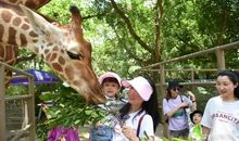 动物园游玩_300字