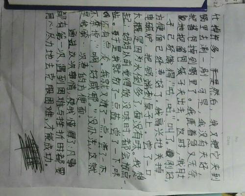 暑假实践_450字