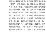 快乐暑假有计划_500字