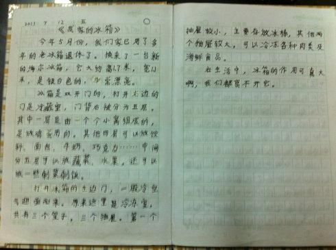 我的暑假计划_300字