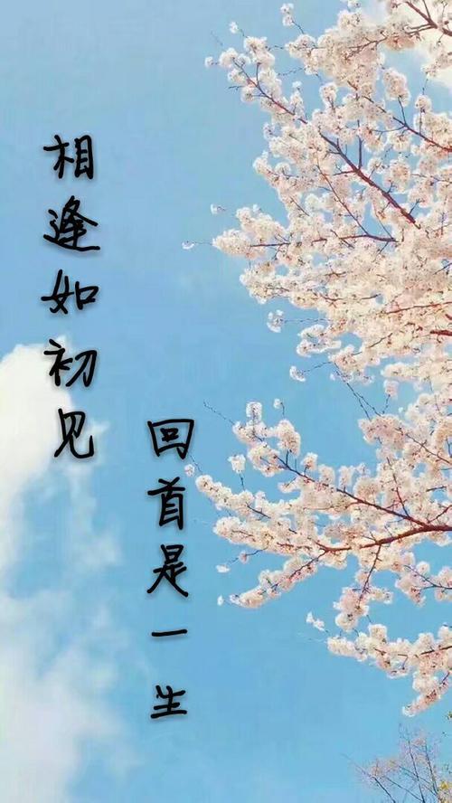 在日落时，还有一个红色的红色_550字