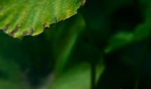 夜，让我陶醉 _800字