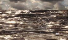 一次失望的旅行_750字