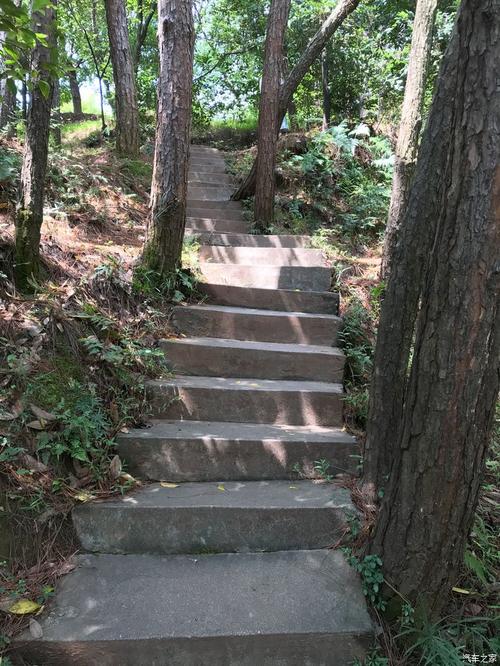 旅游东山公园_650字