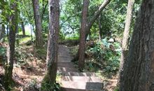 游东山公园_650字