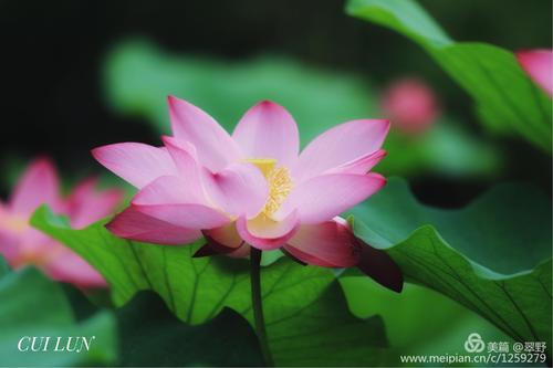 水离开_800字