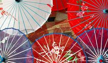 太阳下的花折伞_1200字