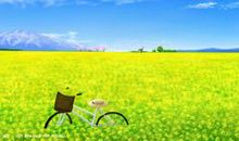 心灵的尘土_700字