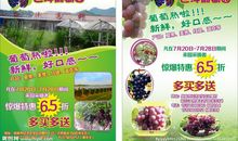 [2012暑期征文]葡萄园_650字