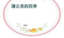 感受校园四季_600字