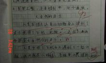 二十年后的我_400字