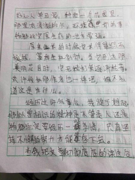 [2013年夏季论文]道路启示_450字