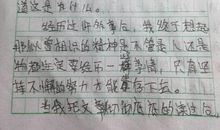 [2013暑期征文]走路的启示_450字