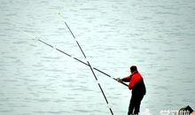 [2013暑期征文]趣味垂钓_800字