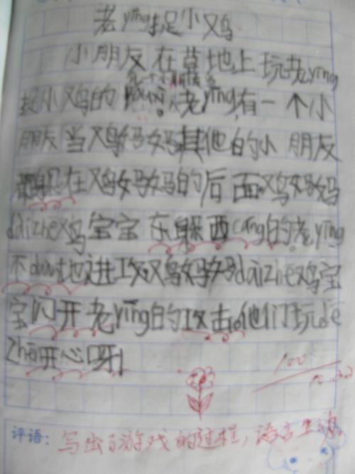 查看鸡_300字