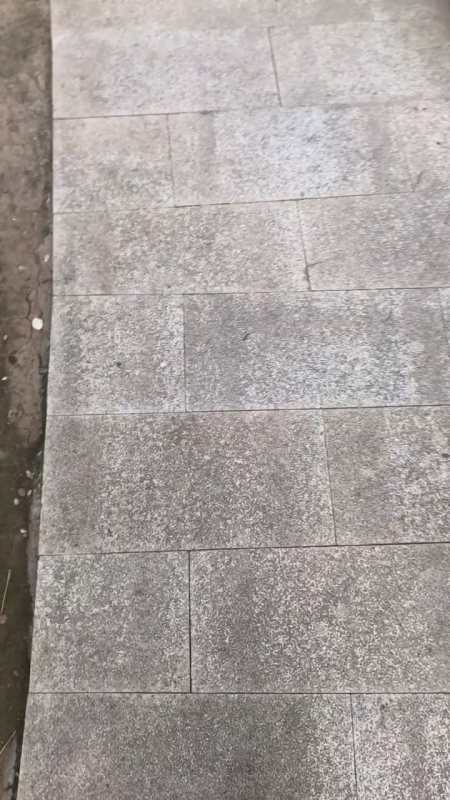 [开始组成]我愿意住在夏天的花朵里，这一生并不后悔_800字