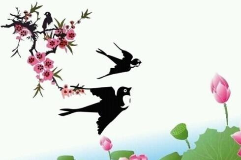 “小燕子的飞行”感觉_100字