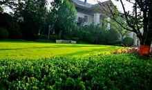 [难忘2015]2015，再见_100字