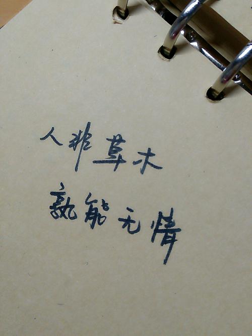 [令人难以忘怀2015]草地无情_600字