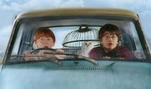 [难忘2015]2015年的成长_700字