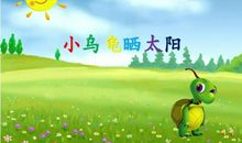 [2012暑期征文]可爱的小乌龟_600字